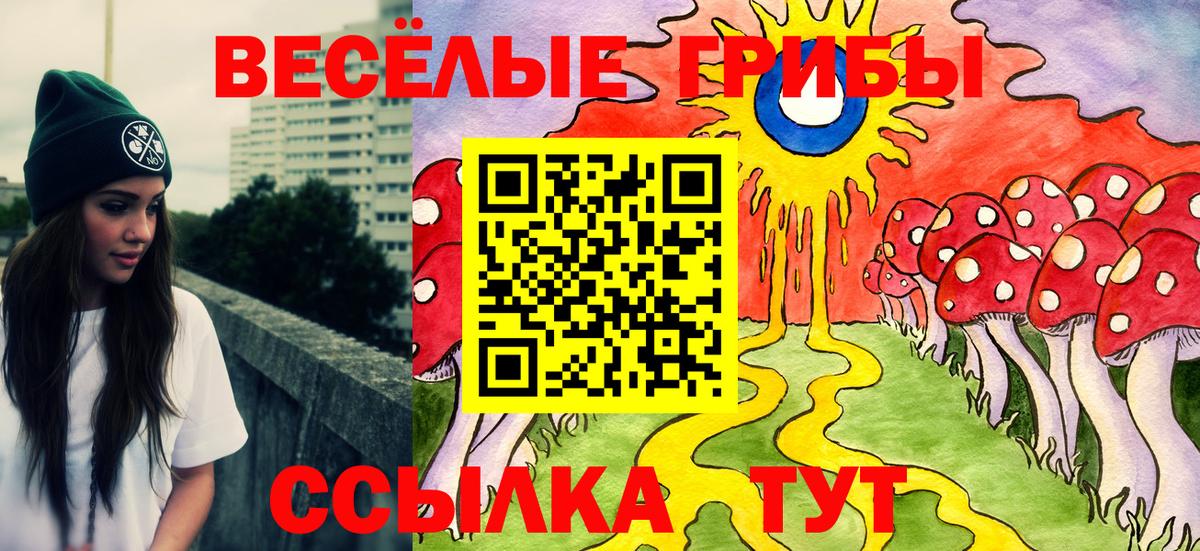 Псилоцибиновые грибы Psilocybe  Вход с VPN  Галлюциногенные грибы мухоморы  Сальск 