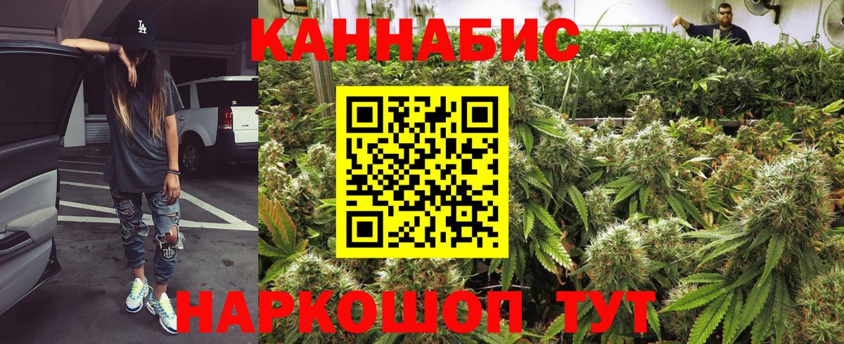 Марихуана конопля  Вход с VPN  Каннабис Bruce Banner  Бошки Шишки марихуана  Сальск 